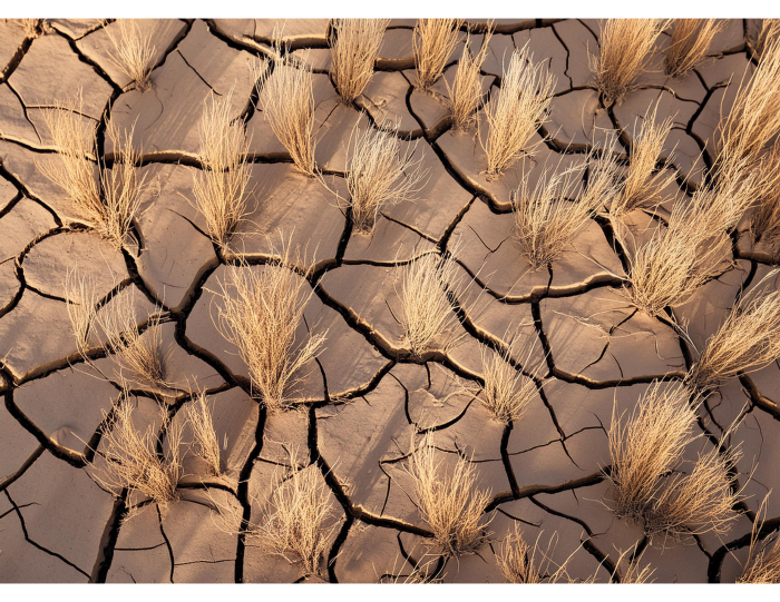 ecological drought