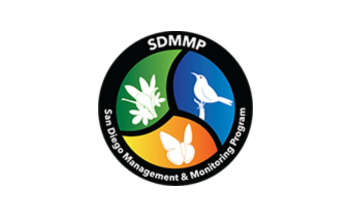 SDMMP