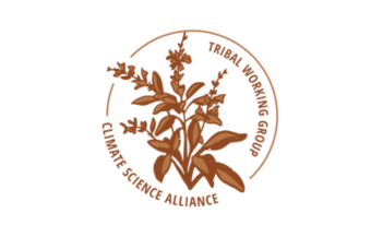 Tribal Working Group